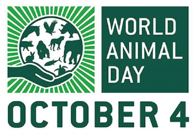 World Animal Day - 4 October